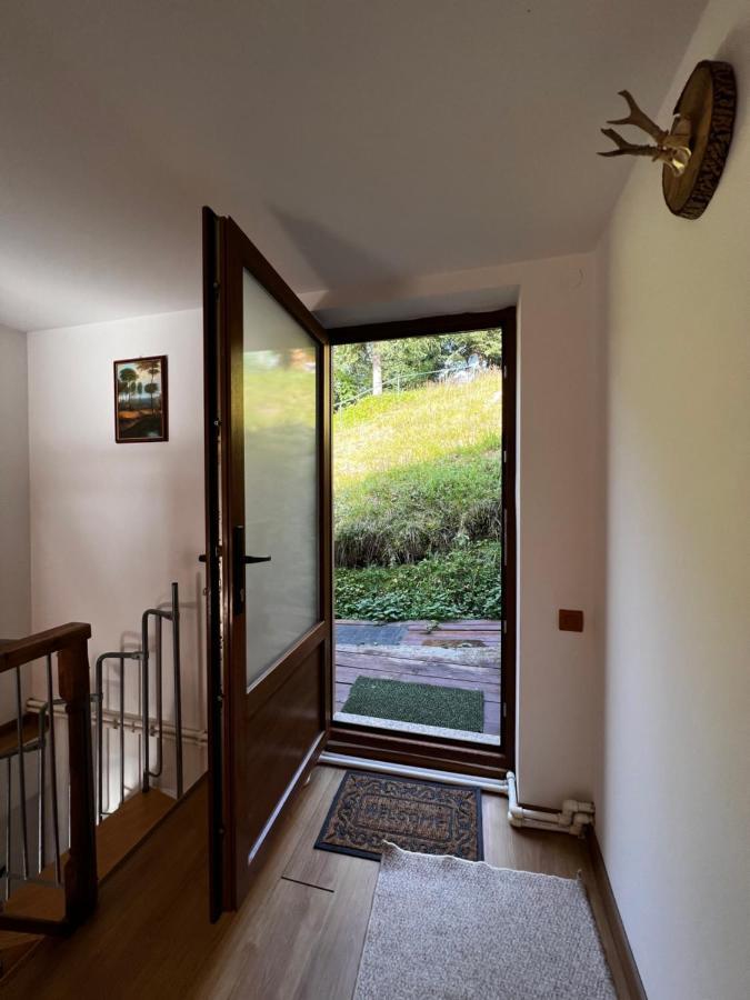 Vila Ioana Rîu de Mori Exterior foto